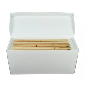 plastic 5 frame NUC bee box beekeeping