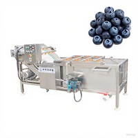 Automatische Saffraanreinigingsmachine Kruidenwasapparatuur
