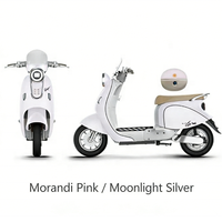 Scooter Électrique de Luxe à 2 Roues avec Compartiment de Rangement Mobile, Frein à Disque Avant 180 et Frein à Tambour Arrière 110, Modèle Cappuccino, à Vendre