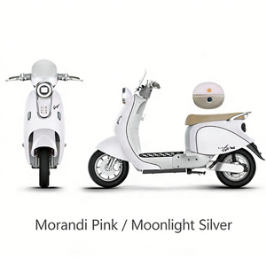 Scooter Eléctrico de Lujo con <span class=keywords><strong>2</strong></span> Ruedas, Compartimento de Almacenamiento Delantero para 180 Discos y Trasero para 110 Tambores, Color Cappuccino, en Venta - Product Image 1