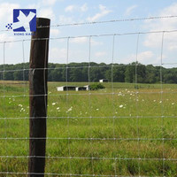 Clôture pour animaux de ferme, chèvre, cerf, clôture pour bétail, clôture pour bovins, chevaux, moutons, clôture pour pâturages