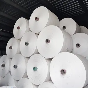 Cina Sacchetto di Plastica PP Tessuto Sack Roll Per Tubolare Borse