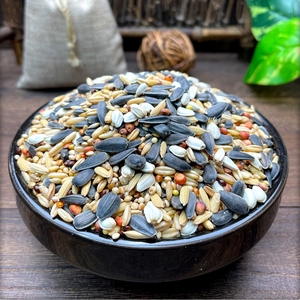 Bán Buôn Cao Hỗn Hợp Hạt Hạt Hướng Dương Lovebird Thức Ăn Vừa Parrot Bird Thực Phẩm - Product Image 3