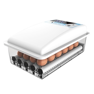 Nouvel incubateur entièrement <span class=keywords><strong>automatique</strong></span> Mini 24 œufs Machine à couver incubateur d'œufs de poule à usage domestique - Product Image 1