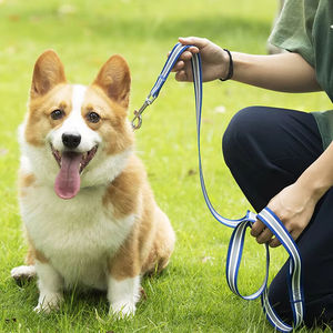 5ft cintura da corsa regolabile collare per animali in Nylon guinzaglio per cani ad alta resistenza guinzaglio nastro animale in Nylon 1.5m - Product Image 6