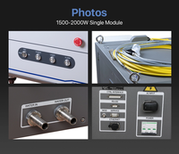 Sumber Laser Serat Raycus 20W 30W 50W 1064nm Modul Laser Berkualitas Tinggi untuk Mesin Penanda Laser Serat