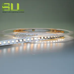 Strip Led 2835 New Design Bi Color 2700K And 6500K Smd 2835 120LED/meter Flexible Led Strip Light For Landscape Hotel Light