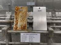 Presse à canne à sucre électrique commerciale verticale en acier inoxydable, rouleaux solides, haute efficacité, capacité 1,5L