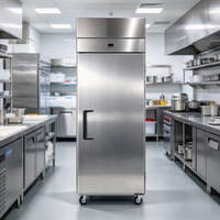 Réfrigérateur vertical commercial à porte simple en acier inoxydable avec roulettes pour bistro
