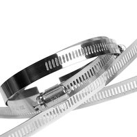 Attaches de câble en acier inoxydable 304 316 résistantes aux UV à verrouillage automatique pour une utilisation extérieure et intérieure