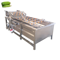 Washing Machine for Vegetables and Fruits Brush Vegetable and Fruit Cleaning Machine Fruit Washing Machines apple