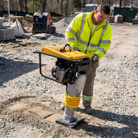 Compacteur à essence le plus vendu, force de vibration ultra-puissante de 75 Nm pour la construction de routes en asphalte et gravier, avec certification CE