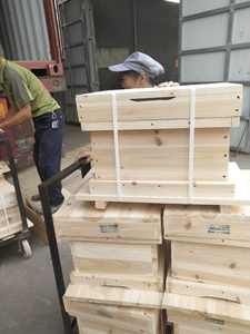 BEESTAR 2026 Promotion : Kit de <span class=keywords><strong>ruche</strong></span> Dadant personnalisée non assemblée de haute qualité – Équipement apicole en bois pour ferme - Product Image 6