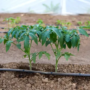 Fabricante Irrigação Por Gotejamento Para Plantas Máquina De Tubo De Gotejamento