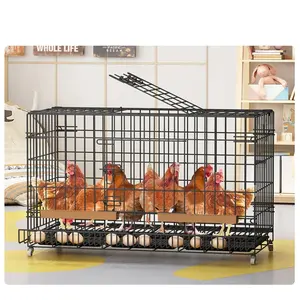 चीन बड़ा चिकन पिंजरा आउटडोर आयरन बर्ड हाउस चिकन परत पिंजरे चिकन परिवहन पिंजरा बड़ा पालतू घर