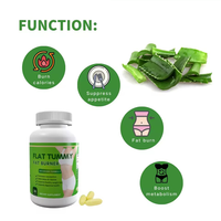 Capsules amincissantes à l'aloe vera, détoxifiantes à base de plantes, brûle-graisses, compléments alimentaires pour la perte de poids pour femmes