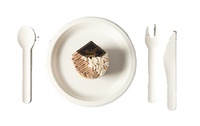 100% Bagasse Dîner Cuillère Canne À Sucre Vaisselle Biodégradable Jetable Soupe Chinoise Cuillère De Service Couteau Fourchette