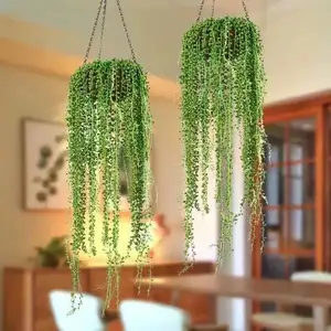 Plantas colgantes de pared de mimbre suculentas, plantas decorativas de Interior de alta simulación, venta al por mayor