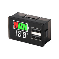 Voltmètre de batterie de voiture USB Type-C DC8-100V 4829, indicateur de niveau de charge, testeur de capacité de batterie au lithium, affichage LED