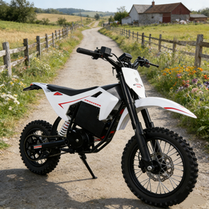 Vélo électrique hybride 60V 23.4Ah, VTT tout-terrain, roue de 14 pouces, mini dirtbike à vendre - Product Image 1