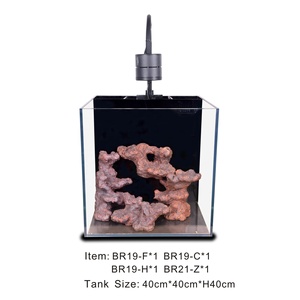 ASBR21-Z Roche Bio-Active d'Angle Écologique pour <span class=keywords><strong>Aquarium</strong></span> <span class=keywords><strong>Marin</strong></span>, Scaping de Récif, Roche Vivante pour Corail - Product Image 4