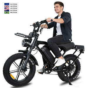 Vélo électrique tout-terrain à gros pneus 20 pouces 250W, en stock UE/US, haute vitesse, meilleur prix, VTT électrique - Product Image 1