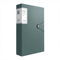 Carpeta Organizadora de Documentos Transparente A4, 100 Bolsillos, Carpeta Vertical con Ventana para Archivo de Oficina