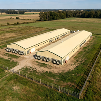 Poulailler préfabriqué en acier haute résistance pour l'élevage de poulets de chair avec ventilation intégrée pour une utilisation à long terme dans l'industrie zootechnique