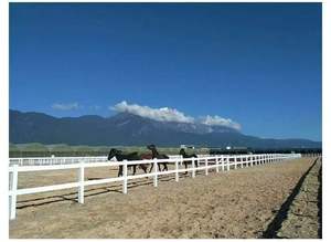 Valla de caballo de PVC con protección UV 100% de alta calidad, tablero de barandilla ecuestre de Metal duradero, pedido mínimo de 1kg - Product Image 5