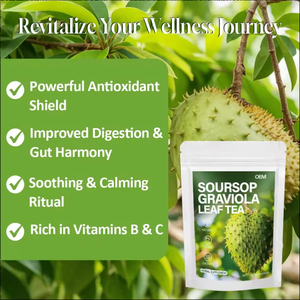 ชาสมุนไพรใบโกรเวียโลล่า OEM สูตรผสมสำหรับคนทานมังสวิรัติ ปราศจาก GMO ชาเพื่อสุขภาพ บรรจุ 10 ซองในกล่อง - Product Image 3