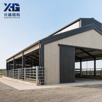Structure métallique préfabriquée Q355B à portée libre, bâtiment métallique, entrepôt préfabriqué, entrepôt en structure d'acier, prix usine