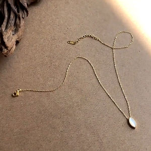 Collar con colgante de moda Lanshang, collar de concha blanca en forma de Oliva de acero inoxidable chapado en oro de 18 quilates - Product Image 6