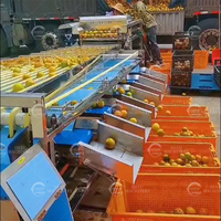 Industriële Fruit Sorteermachine Bessen Sorteermachine Bosbessen Fruit Grader Optische Fruit Sorteerder Voor Kersen