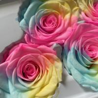 Vente en gros de roses naturelles éternelles multicolores, fleurs préservées, têtes de roses préservées 4-6 cm, prix d'usine, Nouvel An, Noël
