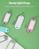 Etiquetas de Plástico de Alta Gama con Anillo Divisor y Ventana para Etiquetas, Colores Surtidos, Identificadores de Llaves para Organización Profesional, RTS