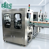 Haute vitesse 360 °   Machine d'inspection visuelle des cartons à œufs avec système de détection d'étiquettes et de rejet automatique CE pour ligne d'emballage alimentaire