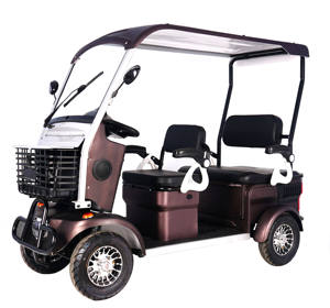 Scooter électrique de haute qualité 800W 60V, vélo électrique à 4 roues, 20Ah, longue autonomie, chariot de golf électrique avec toit - Product Image 5