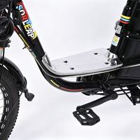 Vélo Électrique 500W en Gros, Vitesse Max 45km/h, avec Panier Avant, Affichage Numérique, Amortisseur Intégral