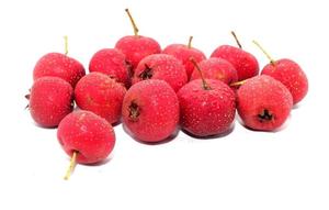 Chất lượng cao <span class=keywords><strong>Hawthorn</strong></span> Berries chiết xuất 5% flavone bán chạy nhất <span class=keywords><strong>Hawthorn</strong></span> chiết xuất từ quả - Product Image 3