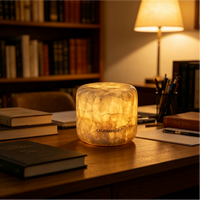 Lampe de chevet en marbre, lampe de nuit tactile, lampe de chevet pour chambre à coucher, type C rechargeable, petite lampe de bureau, lampe de chevet, lampe d'ambiance LED