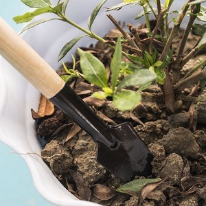 Ensemble de trois outils de jardinage en fer avec manche en bois pour la plantation et le desserrage du sol, utilisation intérieure et extérieure - Product Image 3