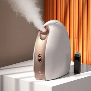 Ondersteuning Sample Professionele Draagbare Mini Mist Warm En Koud Ionische Damp Ozon Facial Steamer