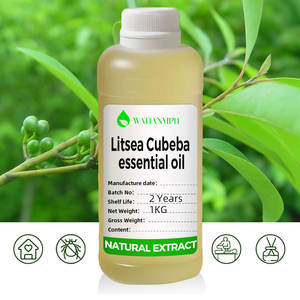 Precio al por Mayor de Aceite Esencial de Shan Cangzi Puro, Natural y Orgánico para el Cuidado de la Piel y Masajes de Fábrica - Product Image 4