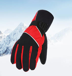 Gants de ski pour hommes et femmes, protection contre le froid pour le vélo, les sports de neige, les scooters électriques - Product Image 2