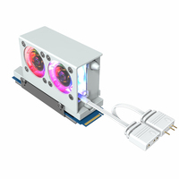 Kedatangan Baru M2.0-2280 Warna Dual Fan Aluminium Heat Sink Permukaan Pola CD Tabung Aluminium Bantalan Hidraulik Hard Disk M2 SSD