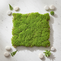 OH ARTS Vente Flash Plantes artificielles en mousse verte, tapis vert pour décoration intérieure, mousse artificielle murale pour aménagement paysager intérieur