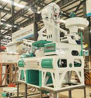 1000-1300 kg/h Combiné Riz Fraisage Polissage Machines Complet Moulin Ensemble Prix/Riz Fraiseuses