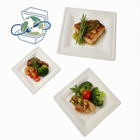 Custom Sugarcane Bagasse Plates Waterproof Oil-proof Microwave Safe Disposable Food Trays Plates Sets Dinnerware