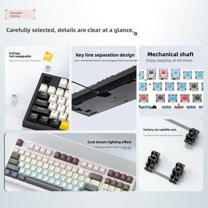 Lvkidron New 98-Key Có Dây USB type-C Chơi Game Cơ Khí Bàn Phím Hot-Trao Đổi RGB Chiếu Sáng Hỗ Trợ Win/<span class=keywords><strong>Mac</strong></span> Cắm Chơi Cho Máy Tính Để Bàn - Product Image 3