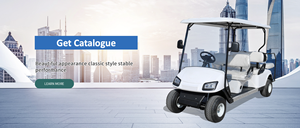 P4 Bibo Chariot de golf et voiturette de golf confortables pour hôtels, complexes hôteliers, villas et navettes, 2, 4, 6, 8 places - Product Image 5